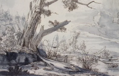 Partridges and Snipe